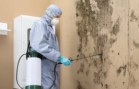 Best Comprehensive Air Testing for Mold Contaminants  in Sturtevant, WI